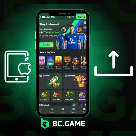 Understanding BC Game Customer Support Services