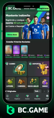 Understanding BC Game Customer Support Services