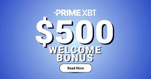 Exploring PrimeXBT Forex Trading Opportunities and Insights