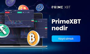 PrimeXBT Website Kripto Dünyasında Yeni Bir Dönem